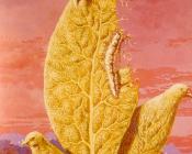 雷内马格里特 - 痛苦的滋味